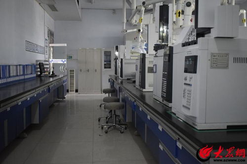 產業鏈上的山東好品牌丨聯化科技德州 全鏈條減碳技術繪就化工行業綠色轉型新圖景