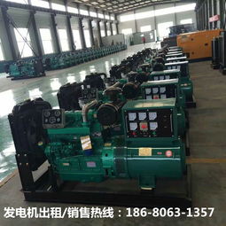 昌都發(fā)電機(jī)出租銷售公司的技術(shù)服務(wù) 為高原供電保駕護(hù)航