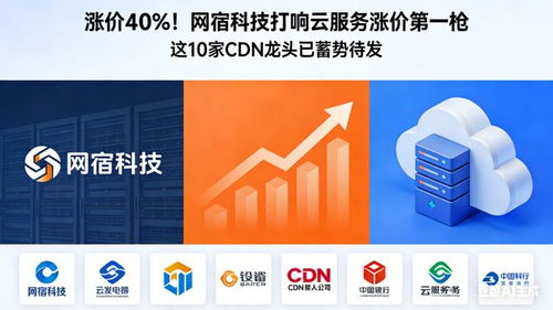 漲價40% 網宿科技打響云服務漲價第一槍，10家CDN龍頭蓄勢待發